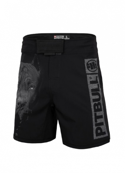 Pit Bull Trainingshorts Performance Pro Plus Born in 1989